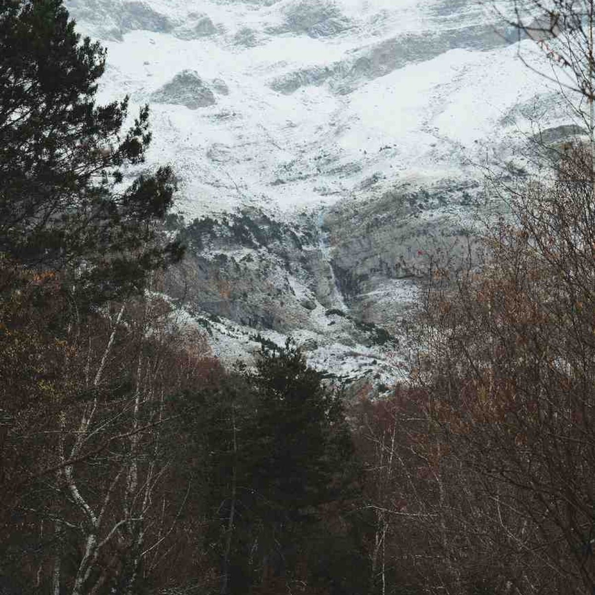 DSCF0254